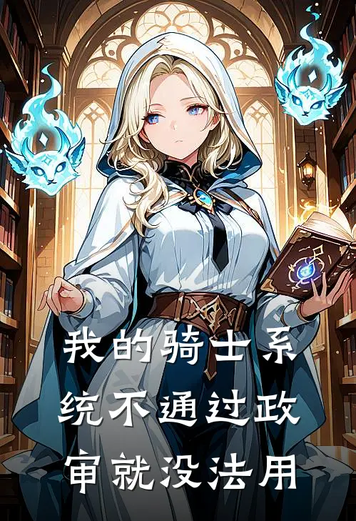 我的骑士系统不通过政审就没法用